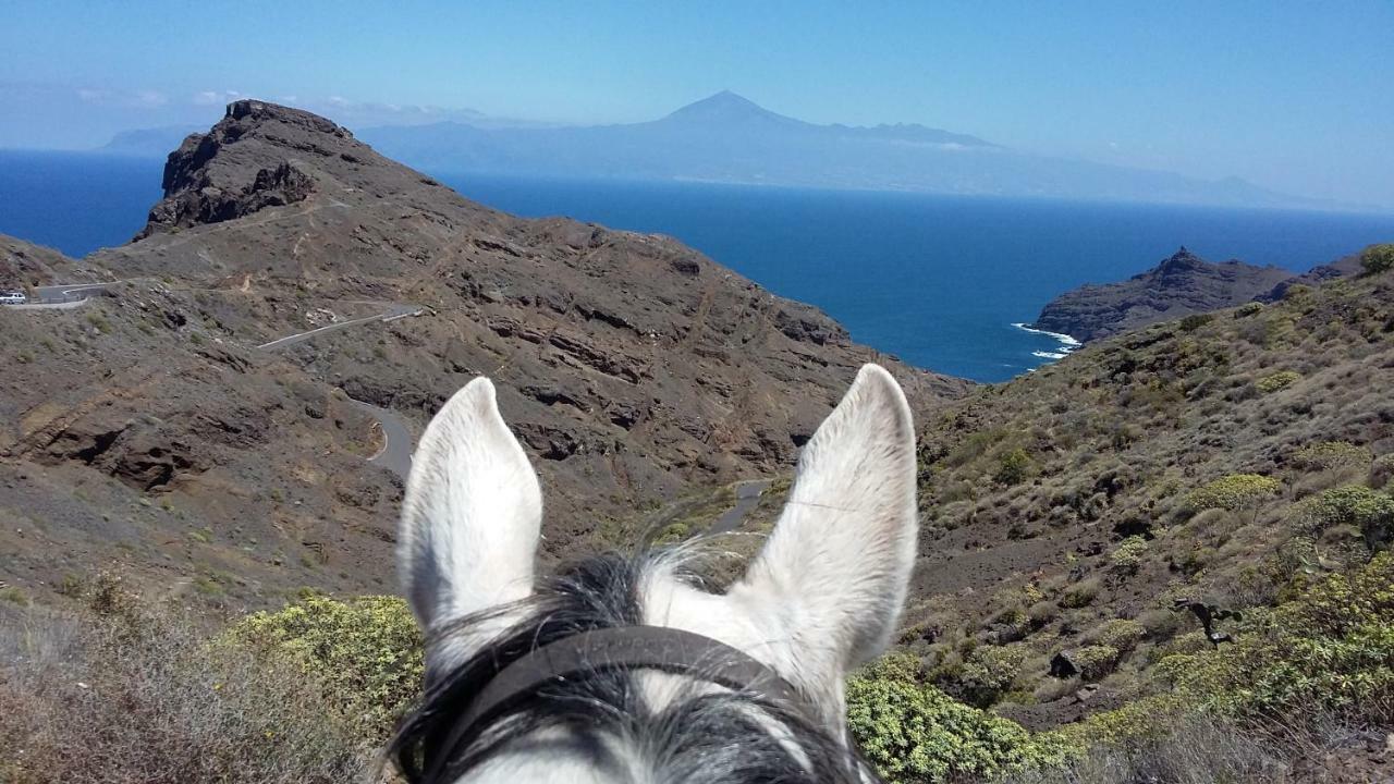 Apartamento Nek San Sebastian De La Gomera Bagian luar foto